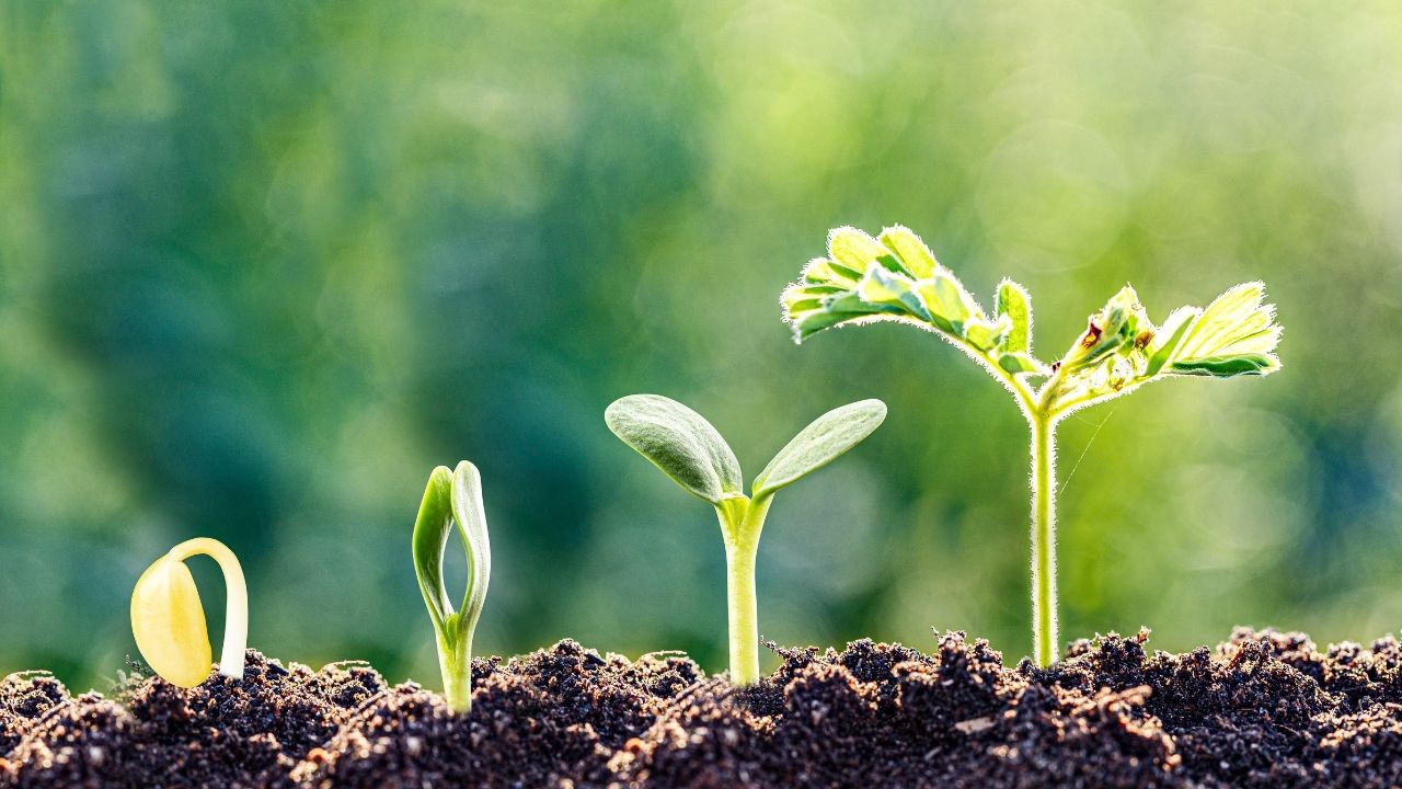 Treinamento de Gestão de Riscos: Como Identificar, Avaliar e Mitigar Riscos Organizacionais